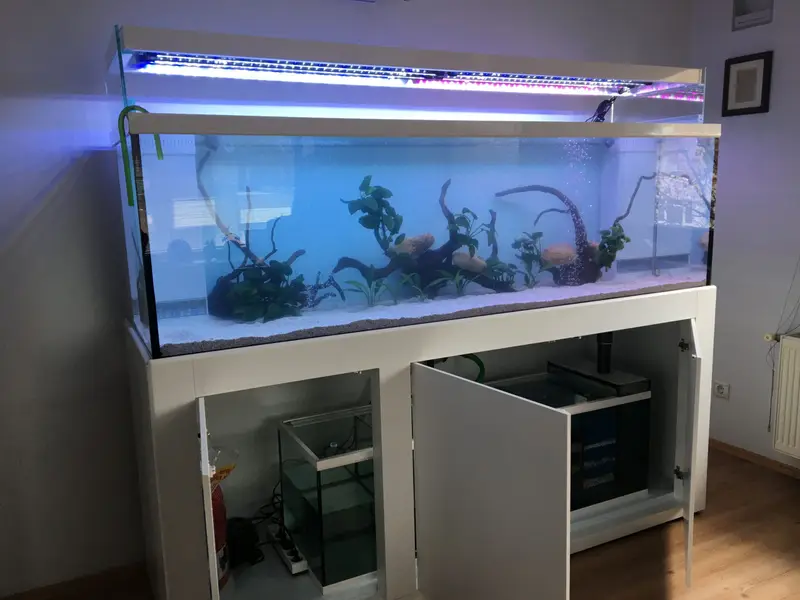 Temaks Akvaryum imalatı — proje 8